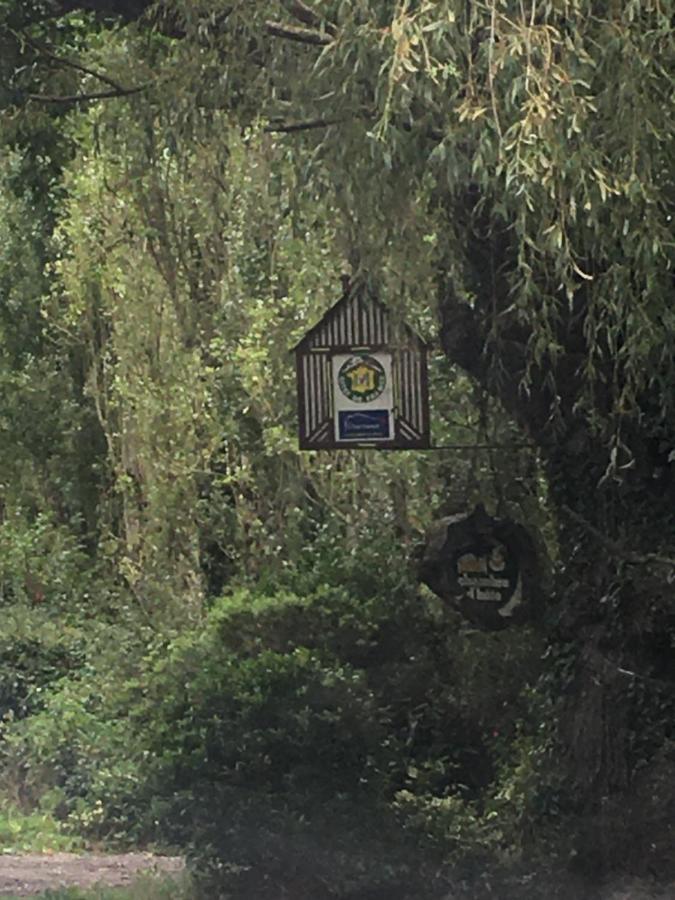 La Ferme Des Vignes Hotot-en-Auge Exterior foto