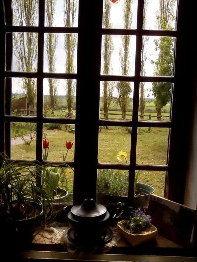 La Ferme Des Vignes Hotot-en-Auge Exterior foto