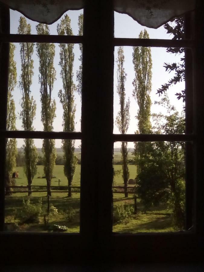 La Ferme Des Vignes Hotot-en-Auge Exterior foto