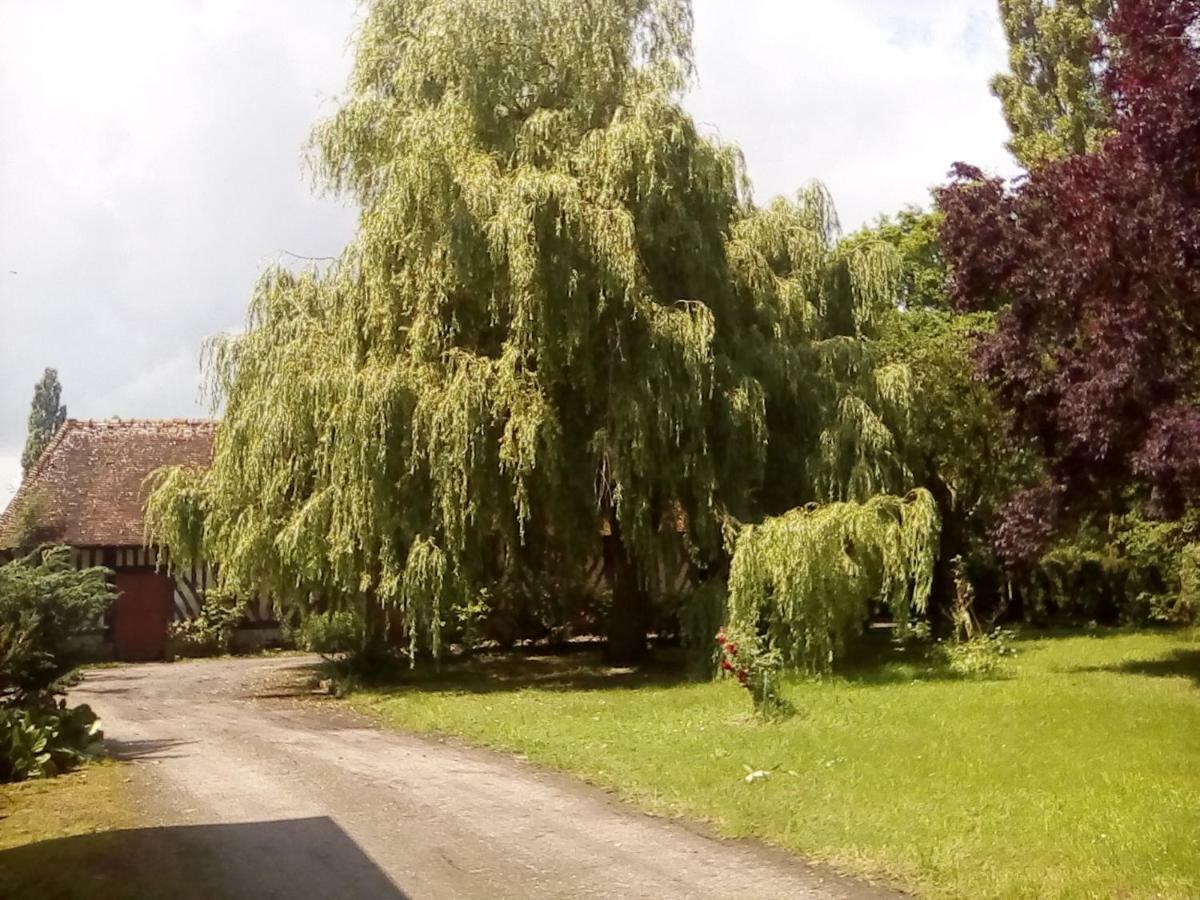 La Ferme Des Vignes Hotot-en-Auge Exterior foto
